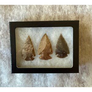 Arrowhead Collection In Display Box #21